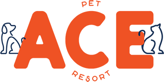 ACE Pet Resort