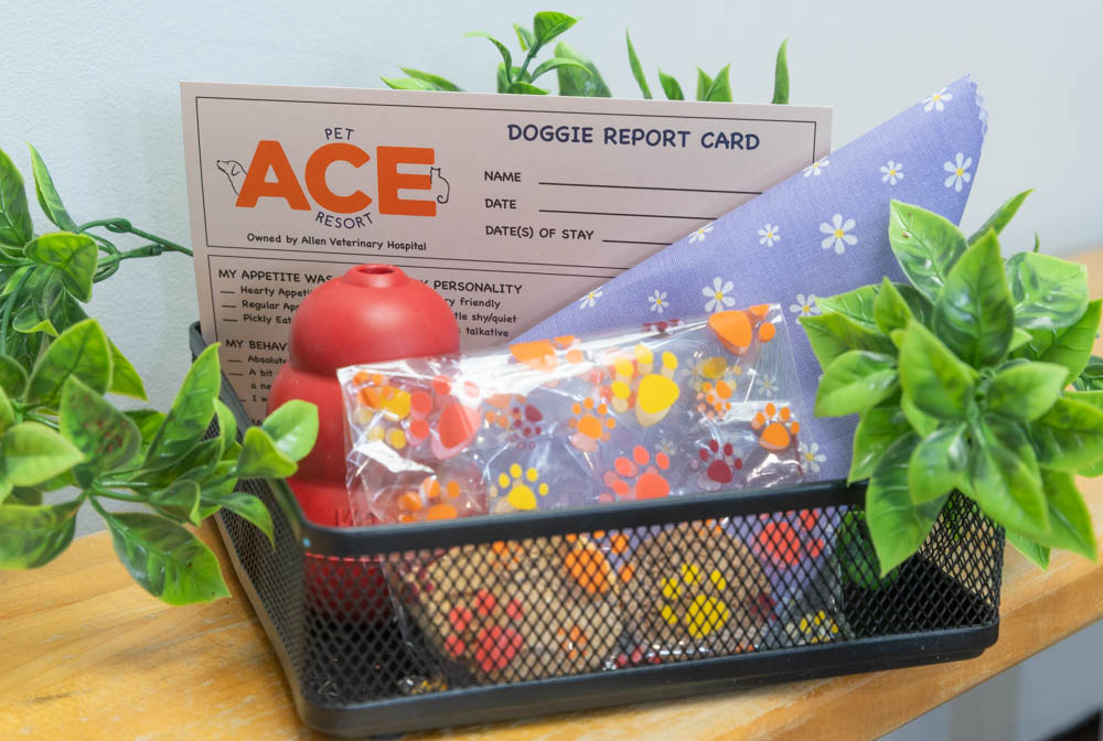 Package Items at ACE