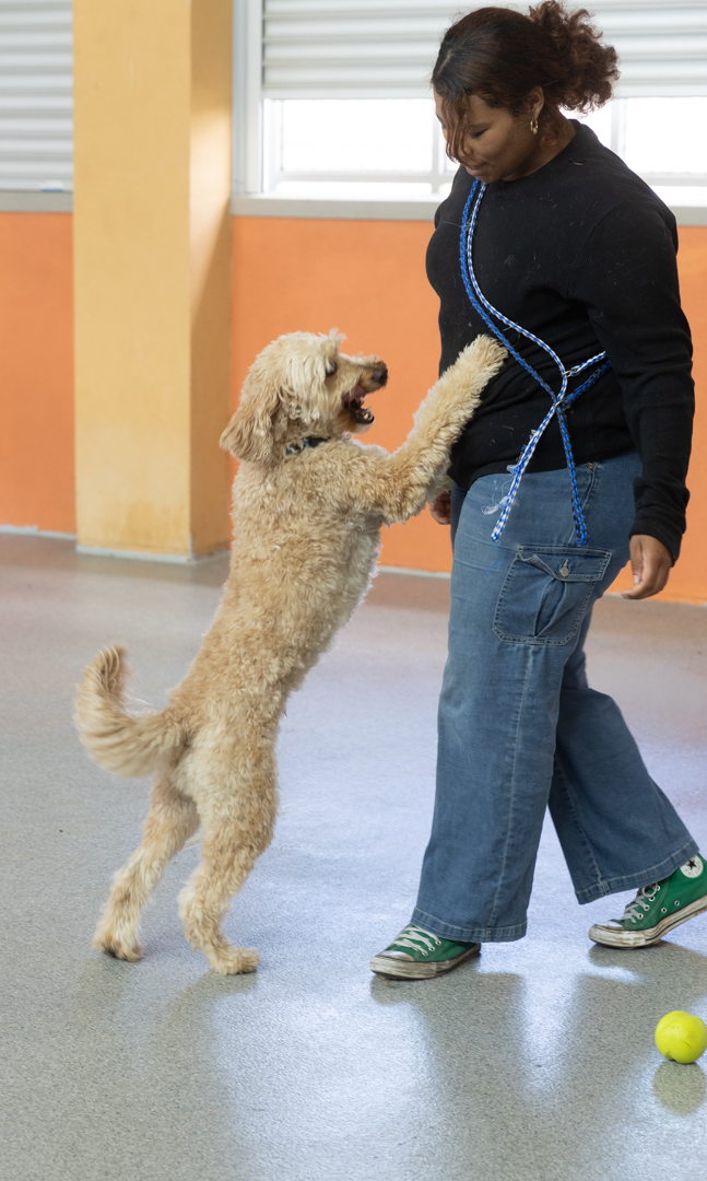 Personal Playtime at ACE